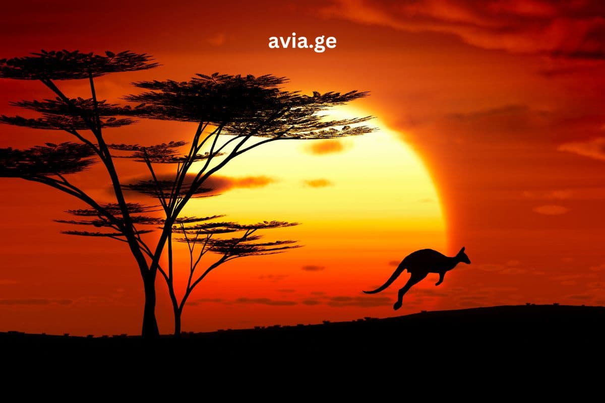 ტურები – Easytravel.ge