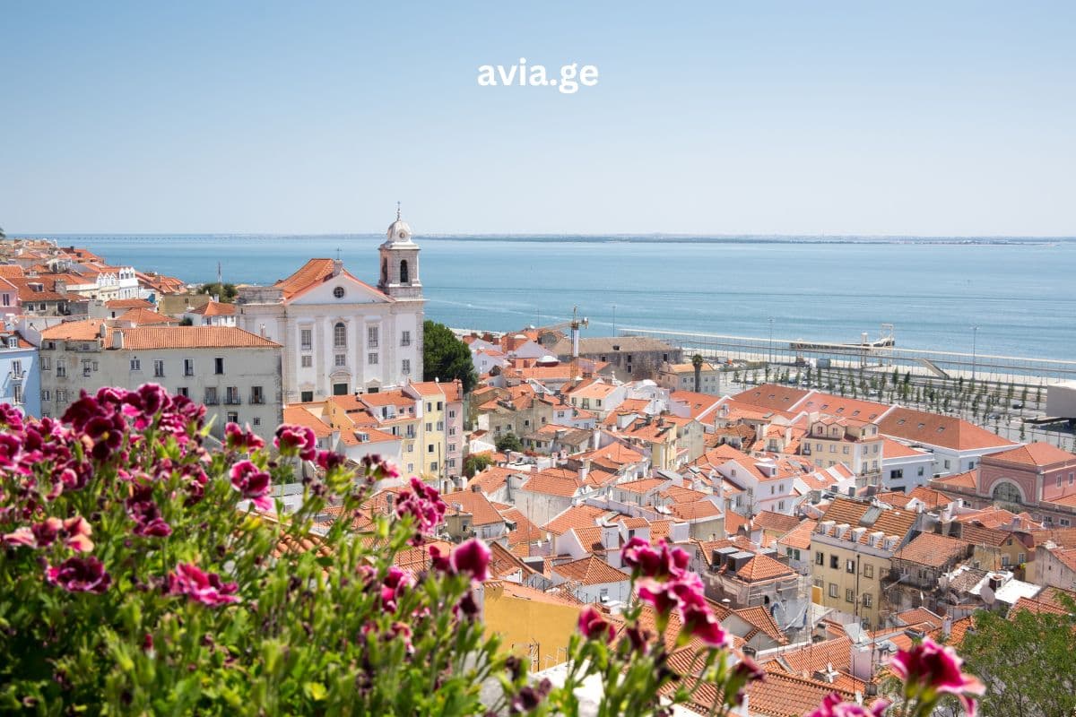 ტურები – Easytravel.ge