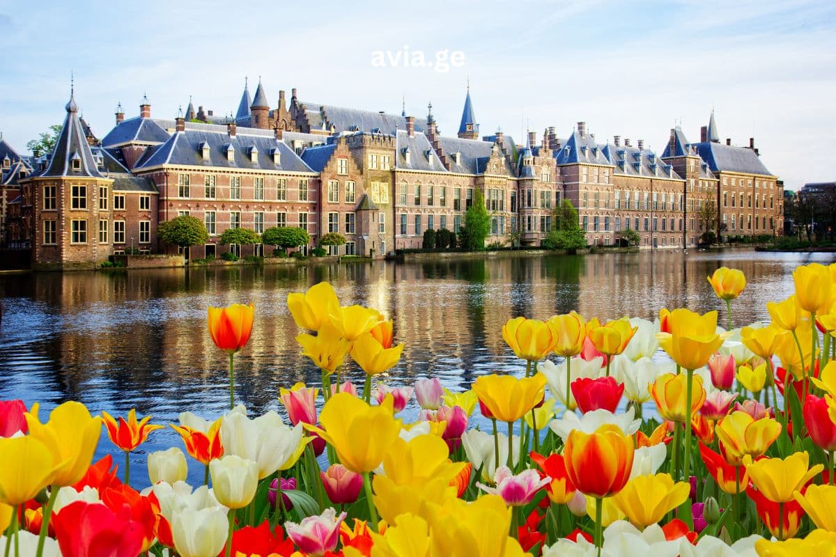 ტურები – Easytravel.ge