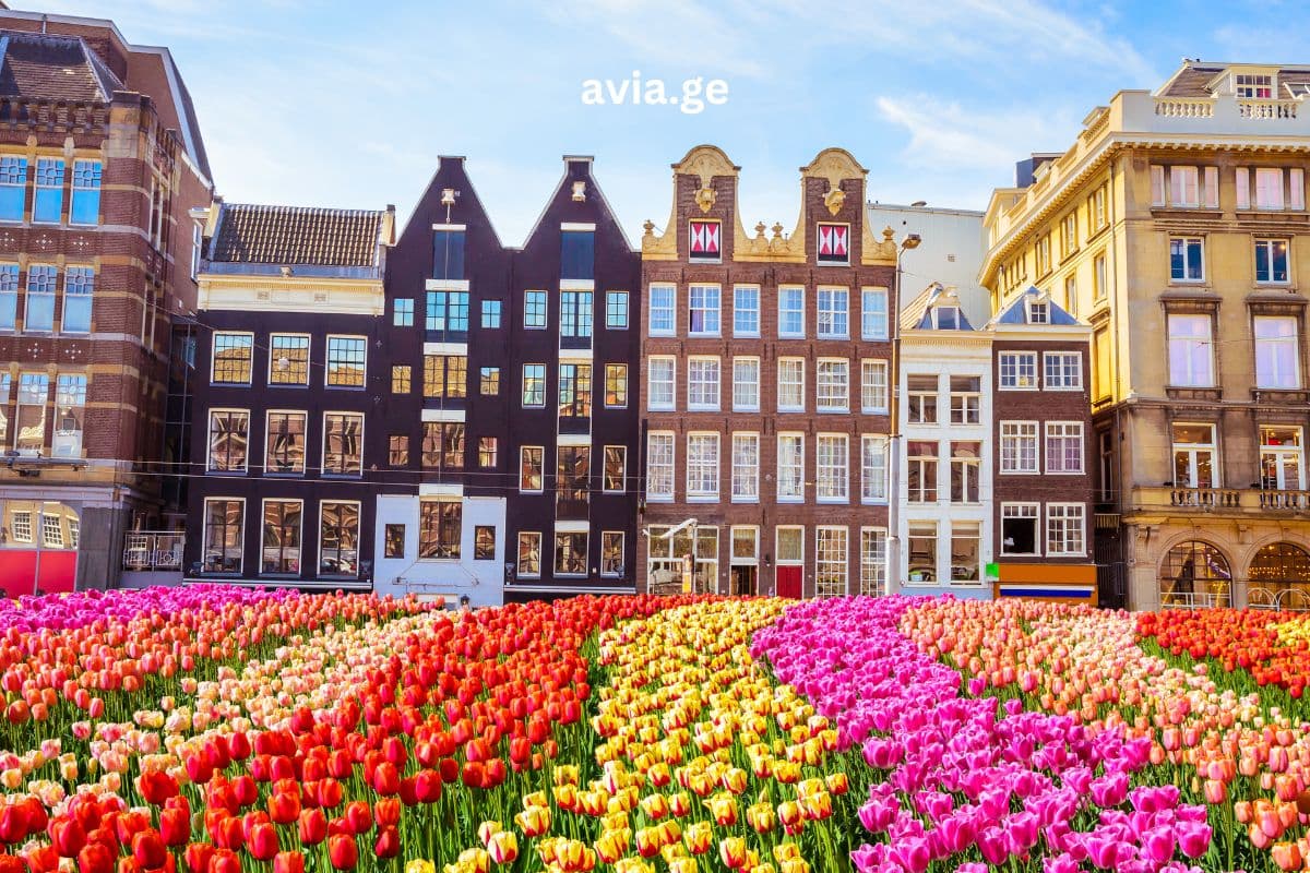 ტურები – Easytravel.ge