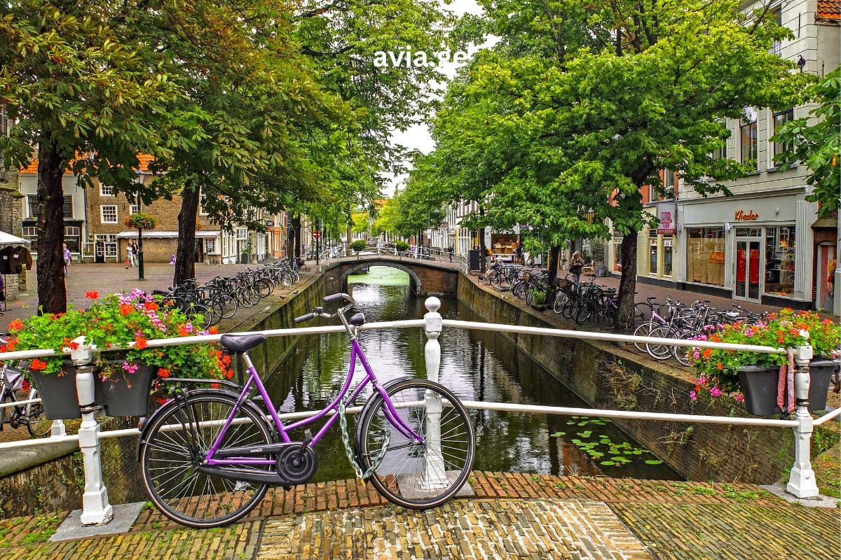 ტურები – Easytravel.ge