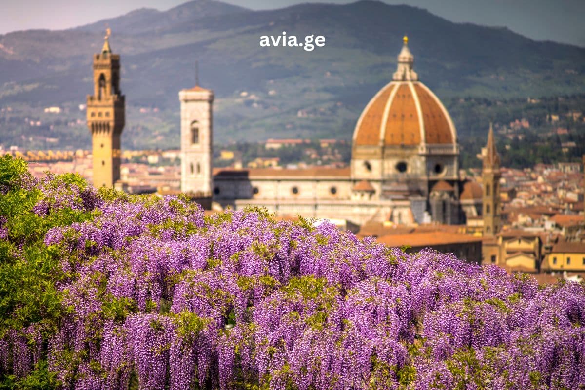 ტურები – Easytravel.ge