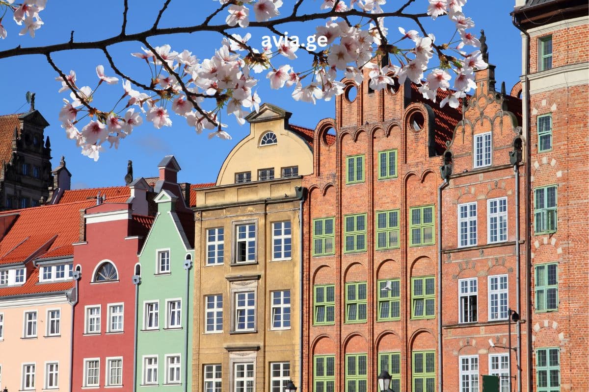 ტურები – Easytravel.ge