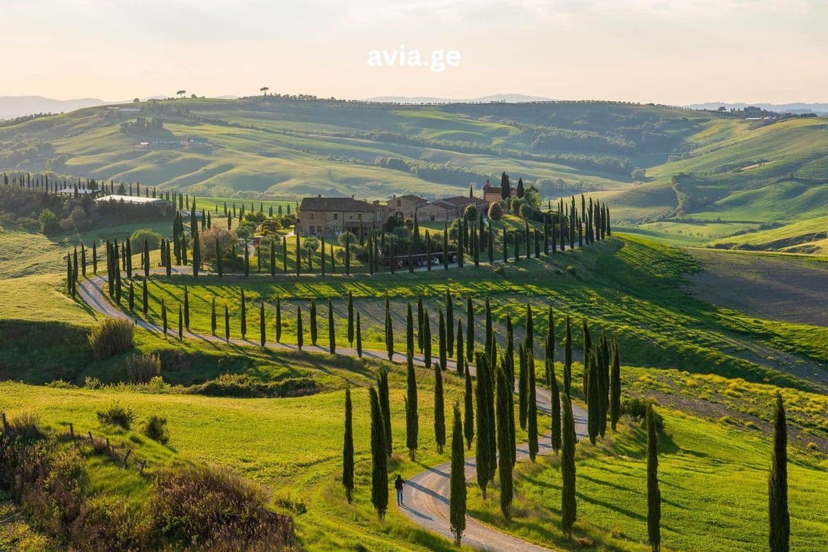 ტურები – Easytravel.ge