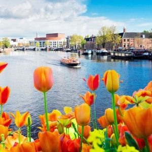 spring in amsterdam