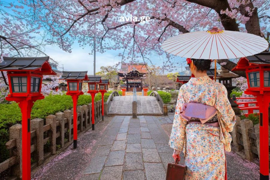 კიოტოს ტური