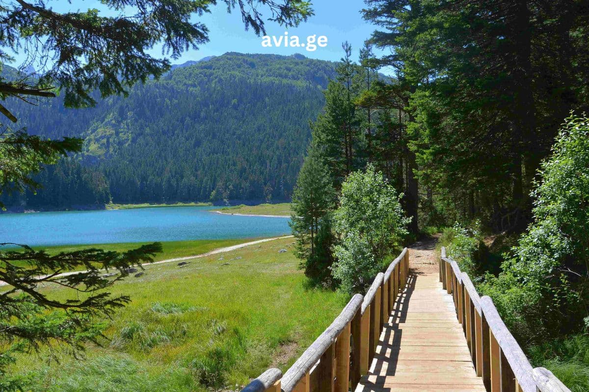 ტურები – Easytravel.ge