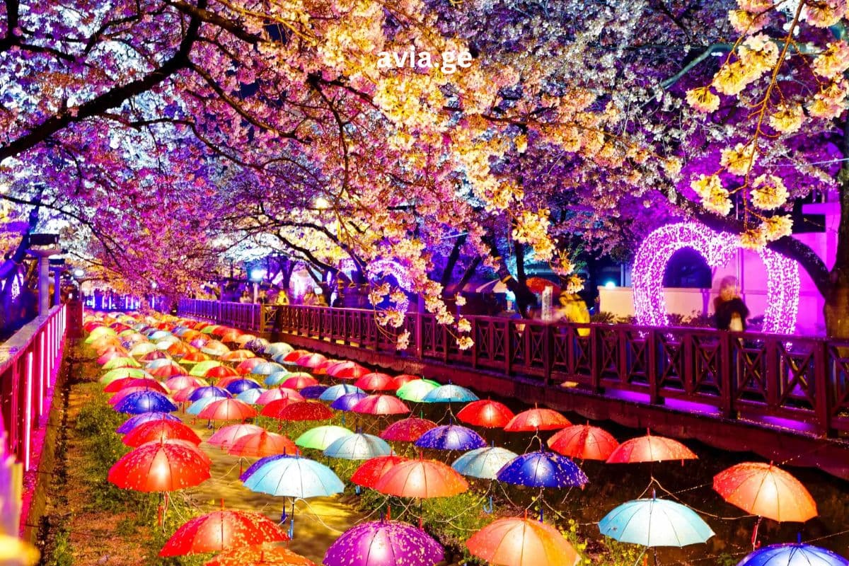 ტურები – Easytravel.ge